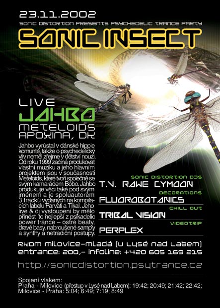 Sonic Insect flyer